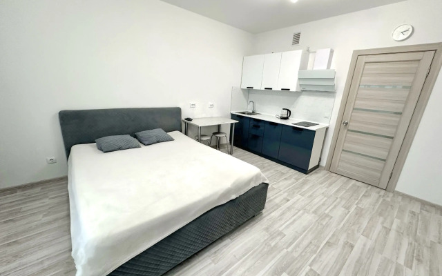 Квартира Сортировка студия