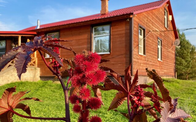 База отдыха Эко Хутор Рай Сяля