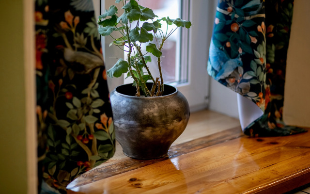 Квартира Студия в усадьбе Васильчиковых