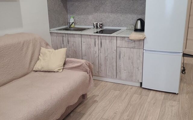 Квартира - студия в иcтoричeскoм цeнтре Санкт-Пeтеpбургa (4)