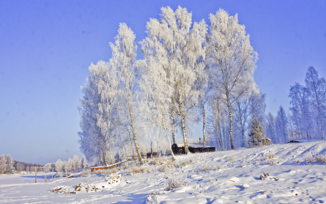 Семейный отель Лесной берег