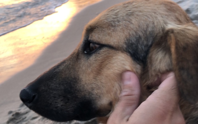 Yukari Sokak VIP Butik Otel