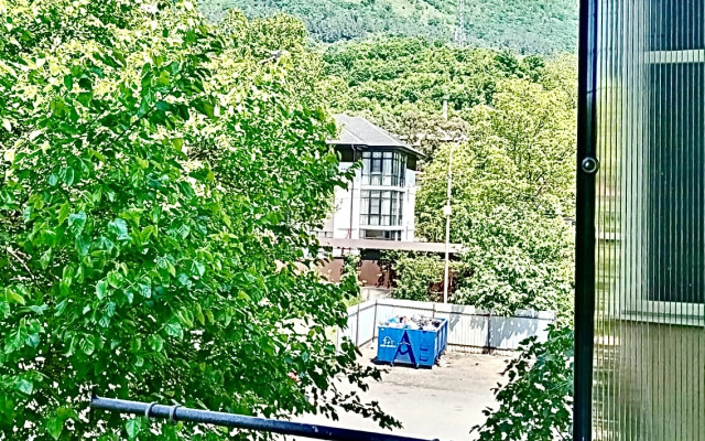 V Tsentre Goroda Flat