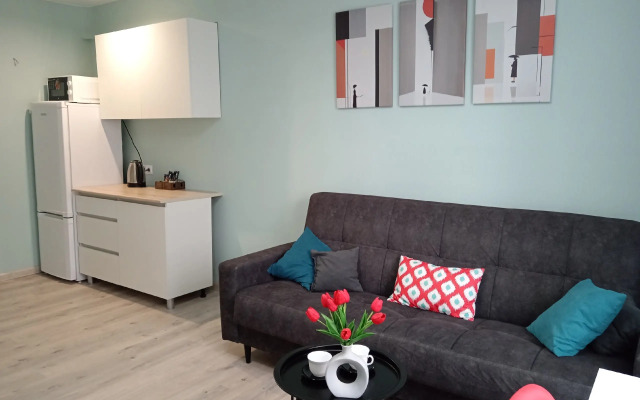 Biryuzovaya komnata v tsentre goroda furnished room