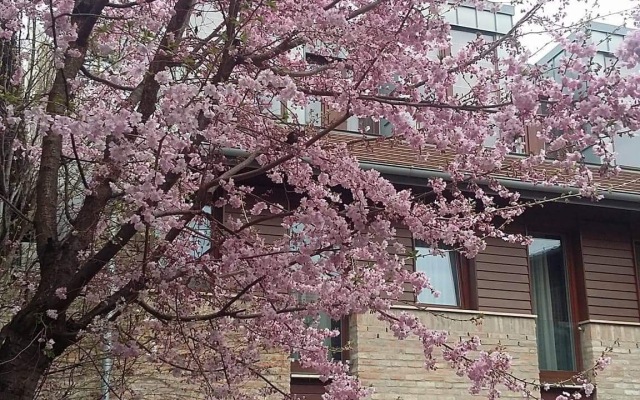 Bazilika alatt Panzió Hotel