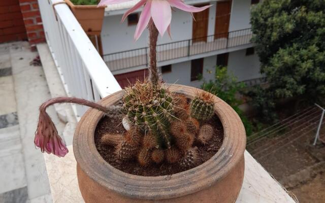 Akdeniz Pansiyon Bed&Breakfast