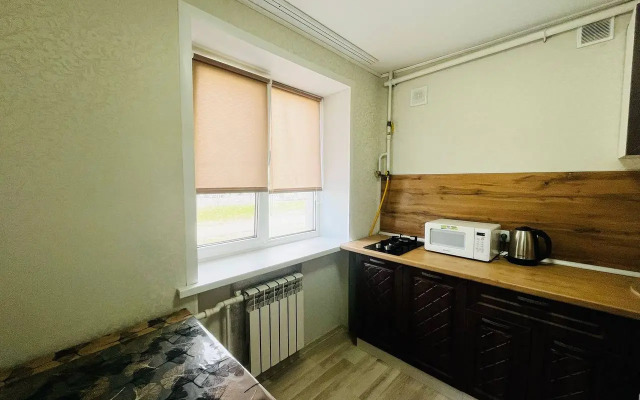 Ryadom S Avtovokzalom Apartments