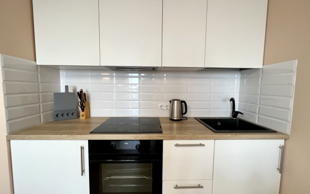 Nasutki38 Lyuks v Tsentre s vidom Apartments