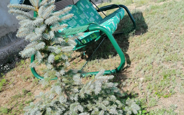 Гостевой Дом Усадьба Заилечье