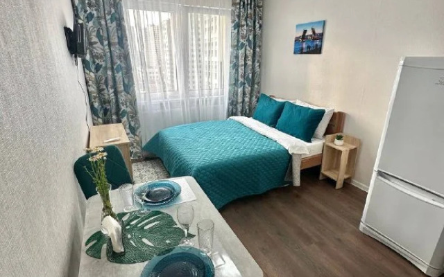 Uyutnaya Studiya Murinskaya Doroga Apartments