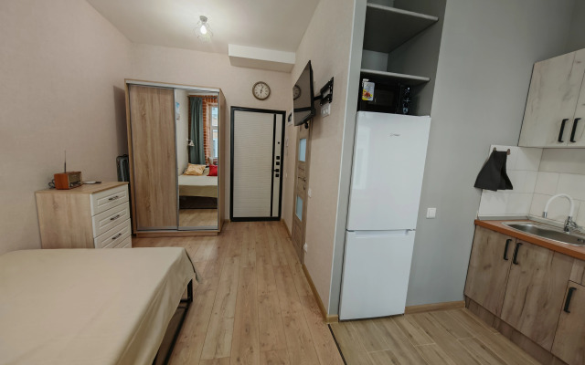 Studiya V Istoricheskom Tsentre Flat