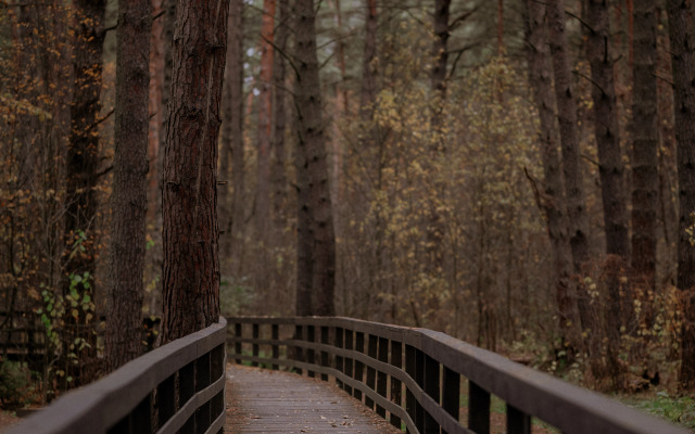 Отель Пайн Ривер