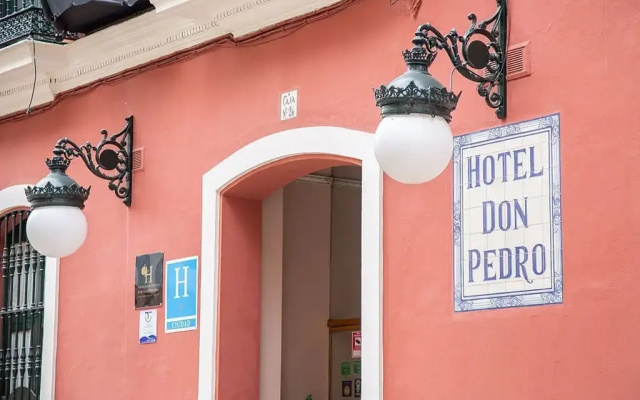 Отель Casa Palacio Don Pedro
