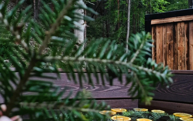 Гостевые дома Сердце Домбая