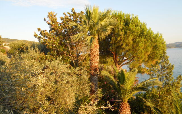Villa  Elektra Apartments