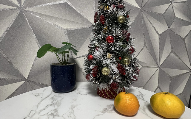 Апартаменты Мега