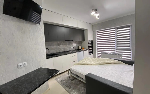 Best House Almaty Flat