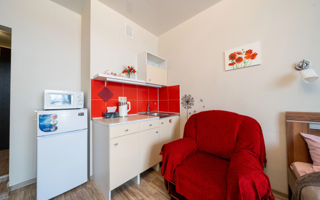 Kvartira-studiya s krasivym vidom na Amur Flat
