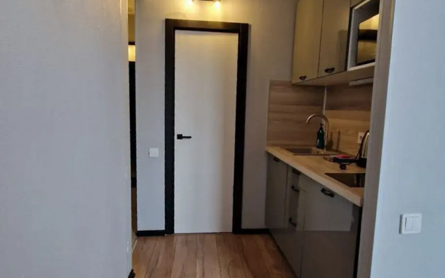 Апартаменты ZenApart Loft № 4