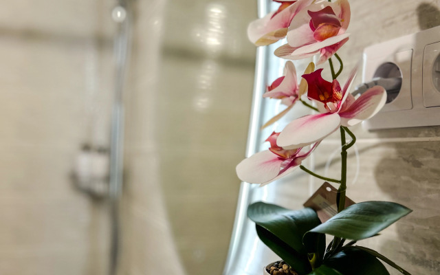 Квартира Прекрасная квартира в центре города