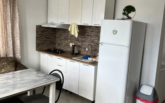 Semeyny Trekhmestny S Vannoy Komnatoy Apartment