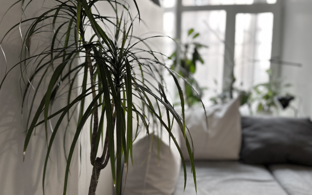 Квартира NEVSKII апартаменты 48