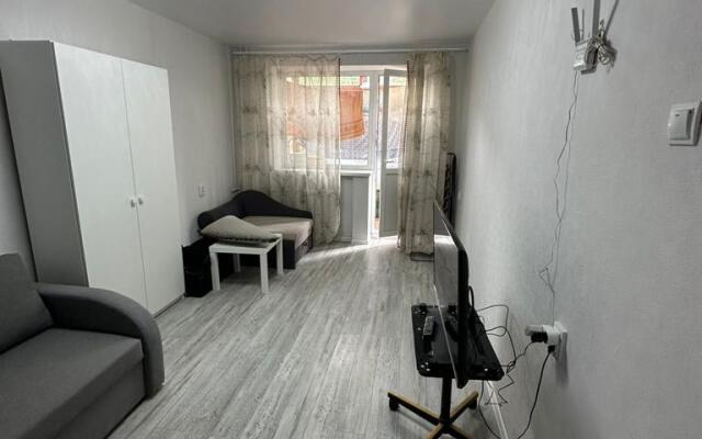 Uyutnye apartamenty v tsentre goroda Flat