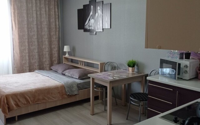 Studiya V Noginske Flat