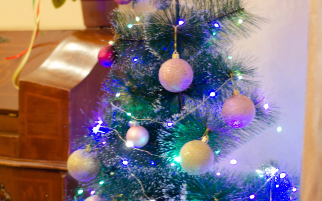 Апартаменты Амалиенау-Адальберт с камином