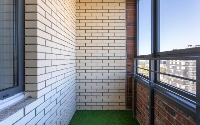 Квартира у метро Елизаровская, Мечта