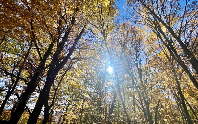 Гостевой дом Ранчо в горах Лаго-Наки