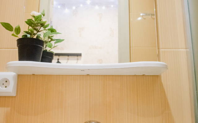 Апартаменты Уютная студия в самом сердце Петербурга