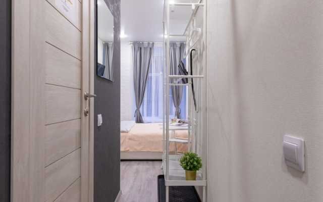 Apartamenty V Tsentre - Ligovskiy 87 (1)