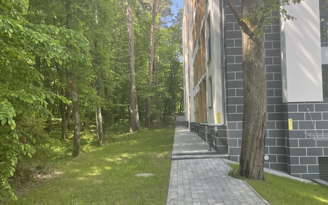 Апартаменты в сосновом лесу