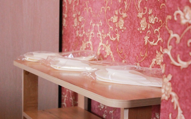 Sheremetyevo Express Guest House