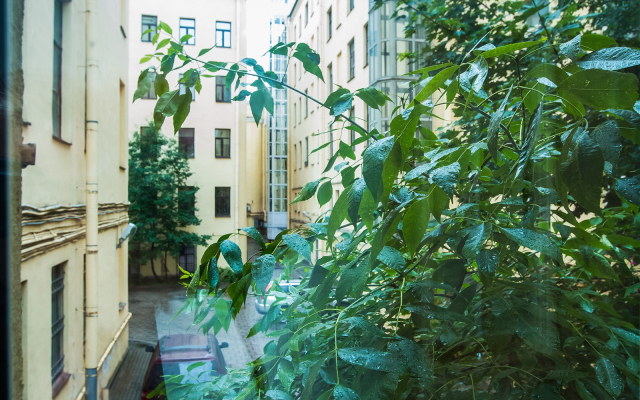 Апартаменты Петерштадт 1