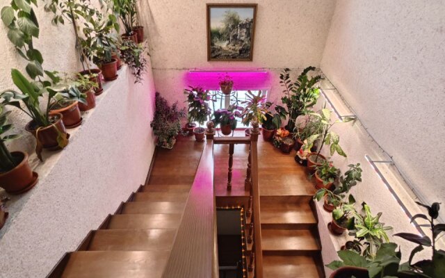Radevichi Guest House