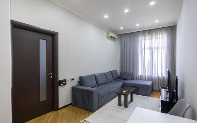 Odnospalnie S Gostinnoy V Tsentre Goroda Apartments