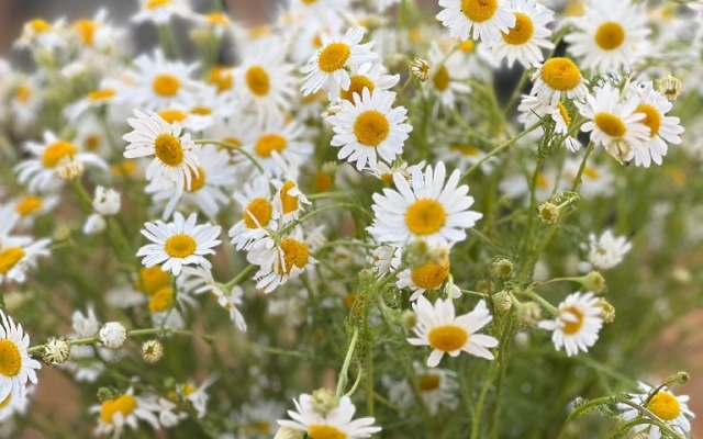 Частный дом AnnMariHome