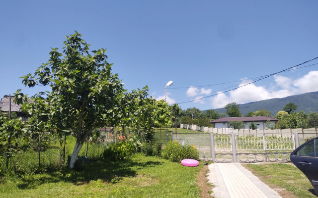 Tsitrus 21 Guest House