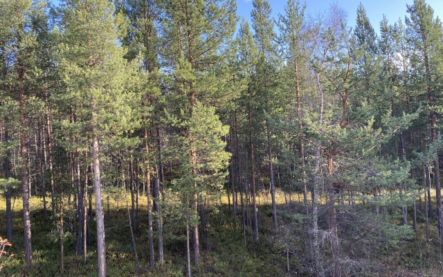 База отдыха Murmansk Discovery