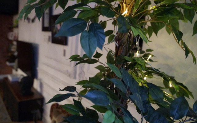 CULTAPART Квартира астролога