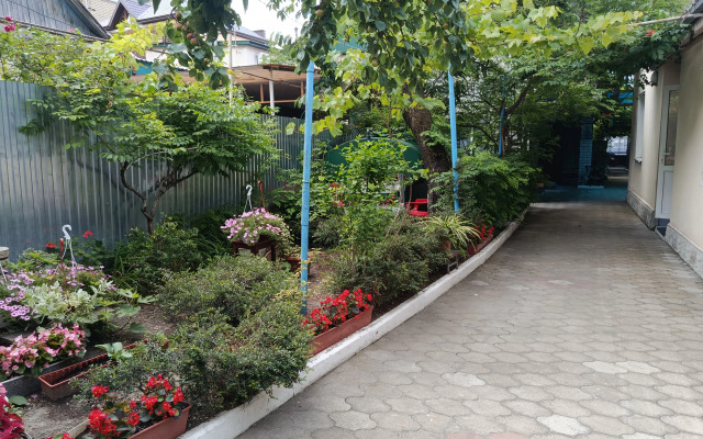 Na Tolstogo 30/1 Guest House