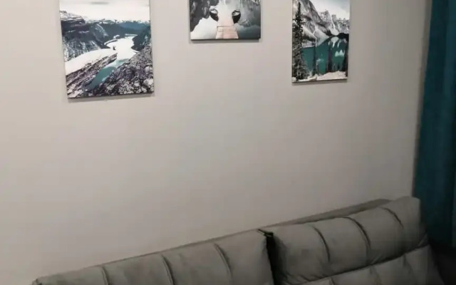 Квартира Олимпийская 87-27