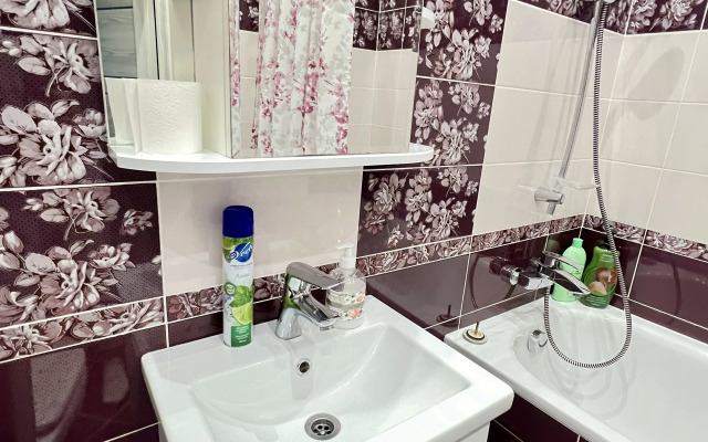 Dvukhkomnatnaya v tsentre goroda v elitnom dome Flat