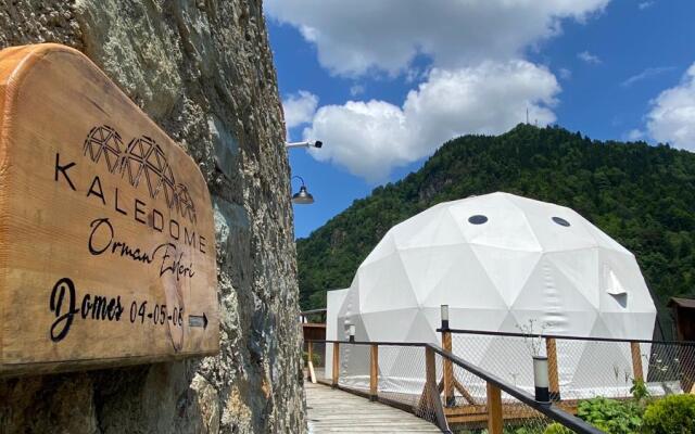Kaledome orman evleri Glamping