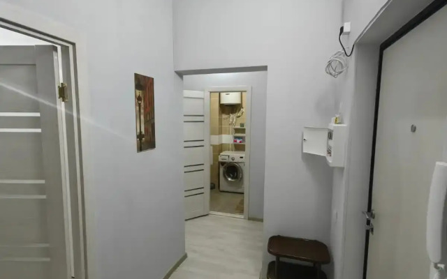 Sovremennaya uyutnaya kvartira Apartments