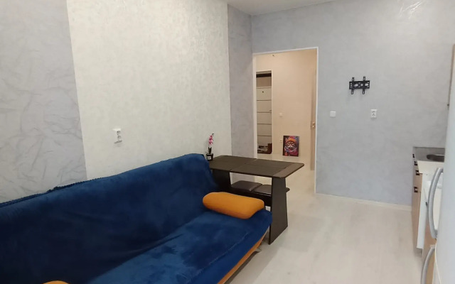 Uytnaya kvartira na Chehova 193 Flat