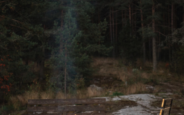 Частный Дом на Границе с Лесом