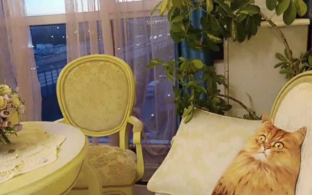 Uyutnaya dvukhkomnatnaya s konditsionerom Ermitazh Flat